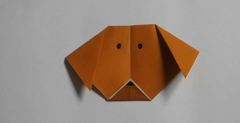 صورت سگ اوریگامی - کازیه